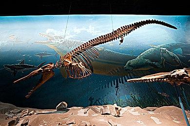 维塔士在美国旧金山湾区开设了新的工作室